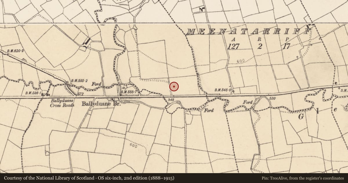 Ordnance Survey six-inch map, 2nd edition (1888–1915) covering the location of Fulacht fia, Gortnaglogh, County Cork, with a pin at the register's coordinates