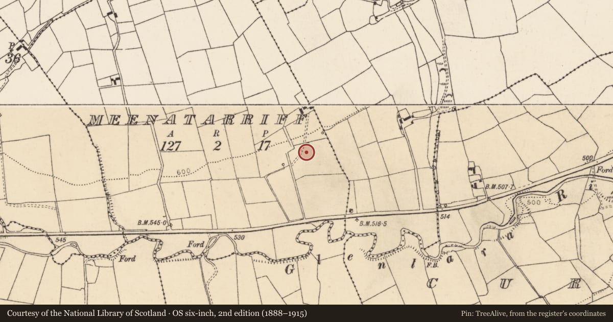 Ordnance Survey six-inch map, 2nd edition (1888–1915) covering the location of Fulacht fia, Meenatarriff, County Cork, with a pin at the register's coordinates