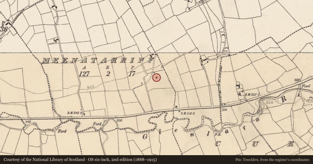 Ordnance Survey six-inch map, 2nd edition (1888–1915) covering the location of Fulacht fia, Meenatarriff, County Cork, with a pin at the register's coordinates