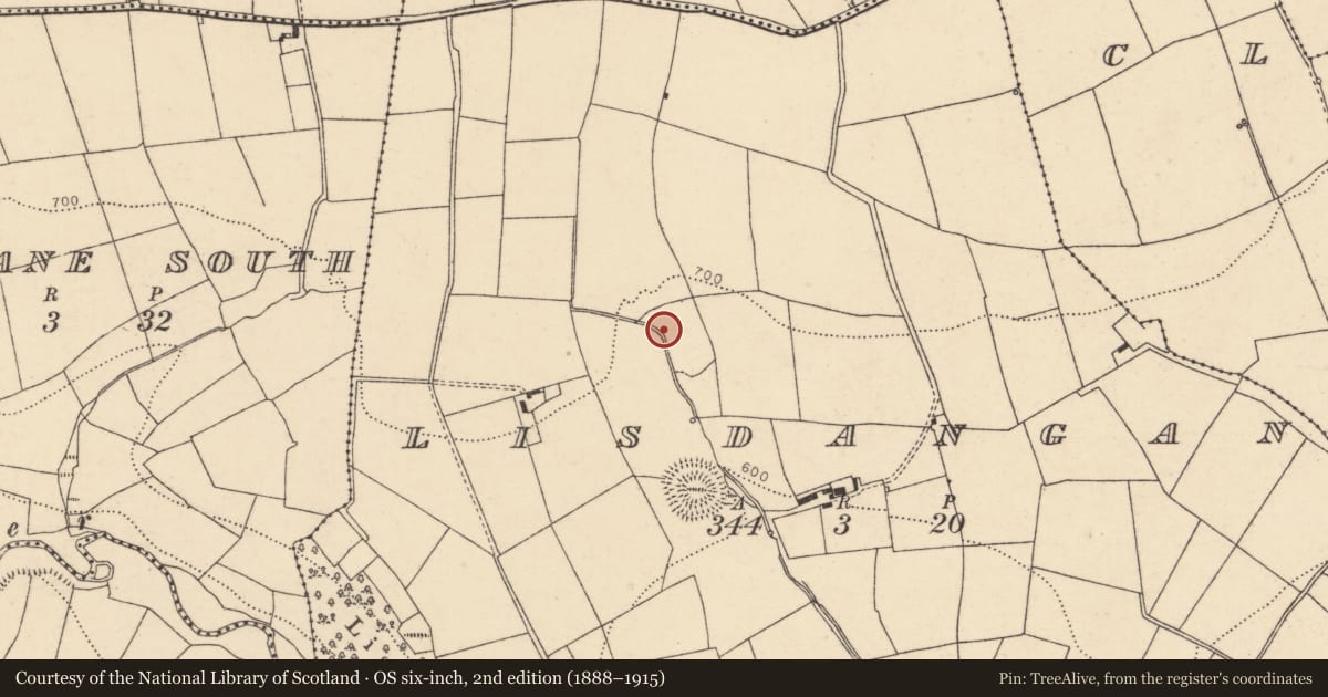 Ordnance Survey six-inch map, 2nd edition (1888–1915) covering the location of Fulacht fia, Lisdangan, County Cork, with a pin at the register's coordinates