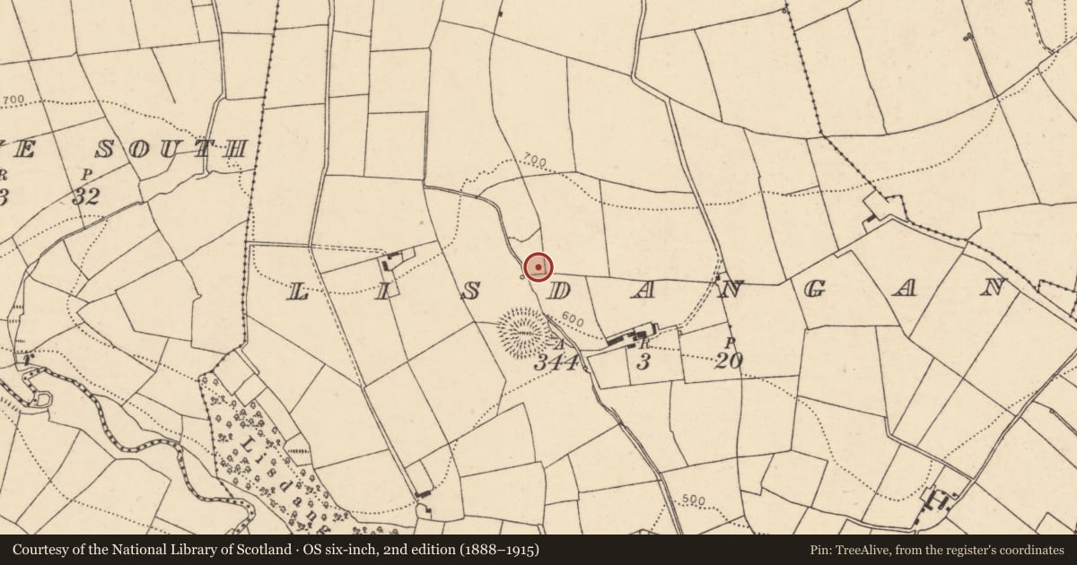 Ordnance Survey six-inch map, 2nd edition (1888–1915) covering the location of Fulacht fia, Lisdangan, County Cork, with a pin at the register's coordinates