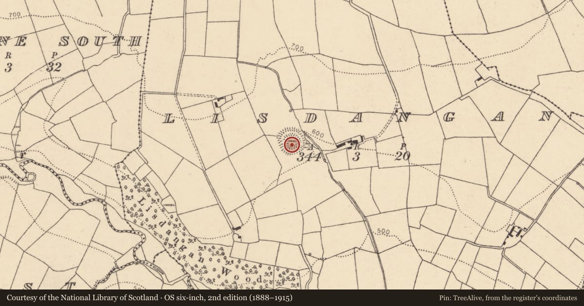 Ordnance Survey six-inch map, 2nd edition (1888–1915) covering the location of Ringfort - rath, Lisdangan, County Cork, with a pin at the register's coordinates