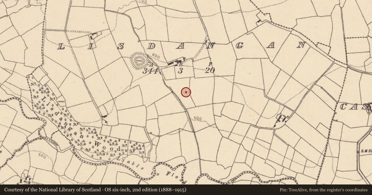 Ordnance Survey six-inch map, 2nd edition (1888–1915) covering the location of Fulacht fia, Lisdangan, County Cork, with a pin at the register's coordinates