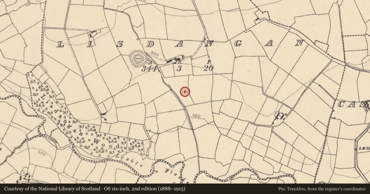 Ordnance Survey six-inch map, 2nd edition (1888–1915) covering the location of Fulacht fia, Lisdangan, County Cork, with a pin at the register's coordinates