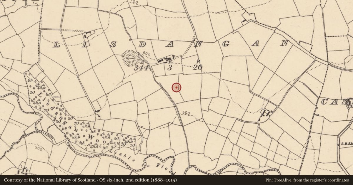 Ordnance Survey six-inch map, 2nd edition (1888–1915) covering the location of Fulacht fia, Lisdangan, County Cork, with a pin at the register's coordinates