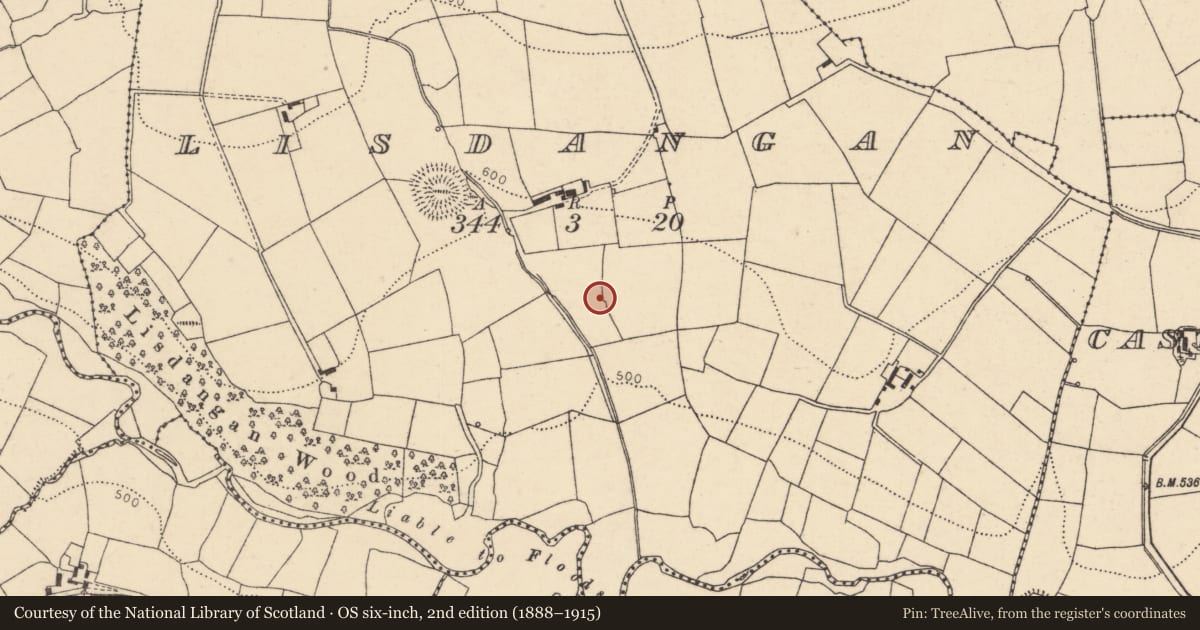 Ordnance Survey six-inch map, 2nd edition (1888–1915) covering the location of Fulacht fia, Lisdangan, County Cork, with a pin at the register's coordinates