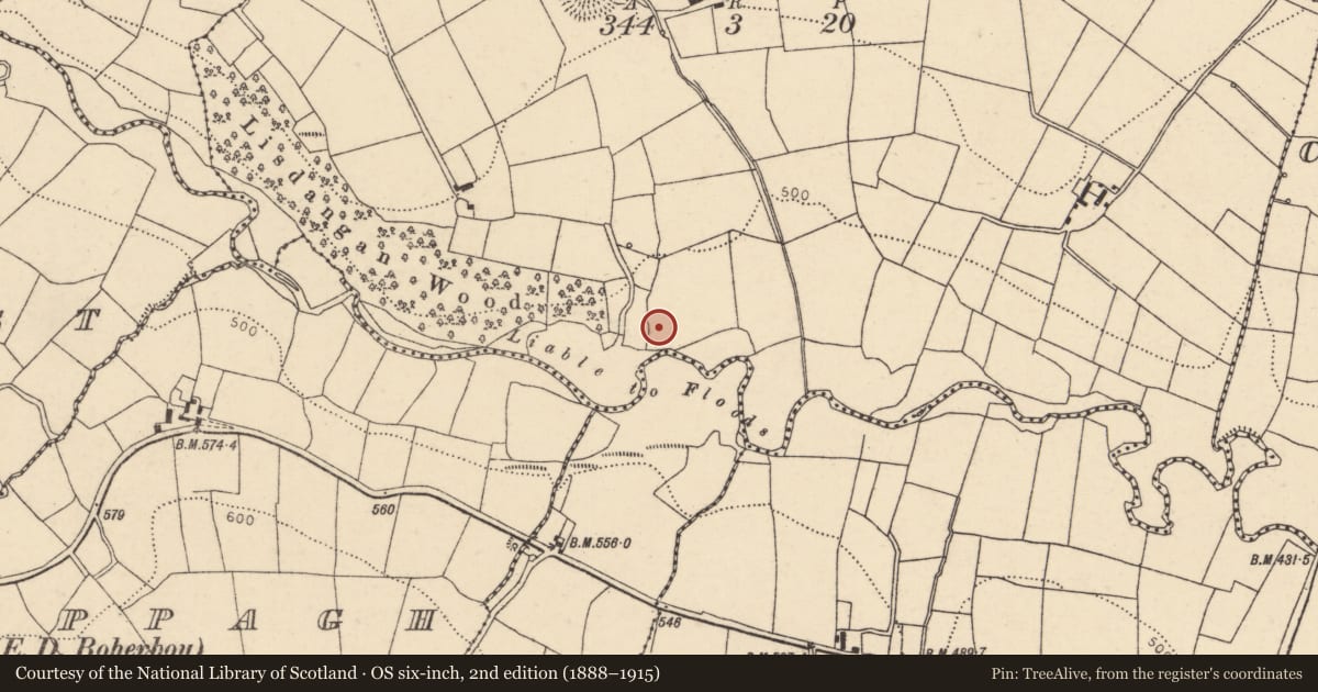Ordnance Survey six-inch map, 2nd edition (1888–1915) covering the location of Fulacht fia, Lisdangan, County Cork, with a pin at the register's coordinates