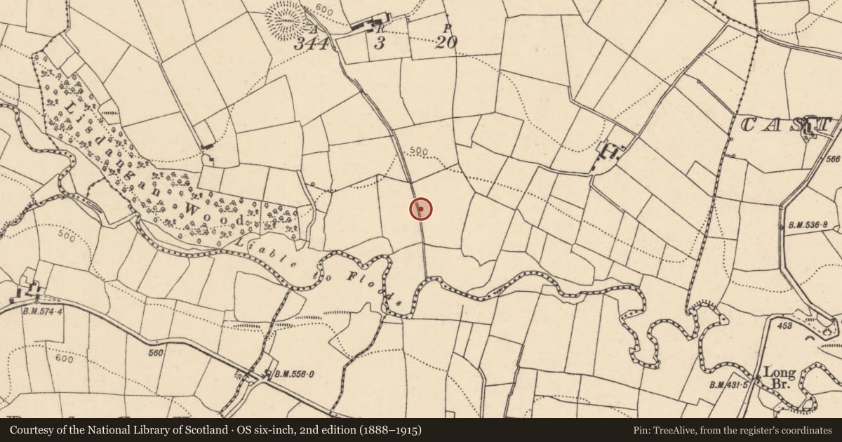 Ordnance Survey six-inch map, 2nd edition (1888–1915) covering the location of Fulacht fia, Lisdangan, County Cork, with a pin at the register's coordinates