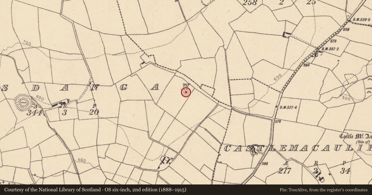 Ordnance Survey six-inch map, 2nd edition (1888–1915) covering the location of Burial ground, Lisdangan, County Cork, with a pin at the register's coordinates