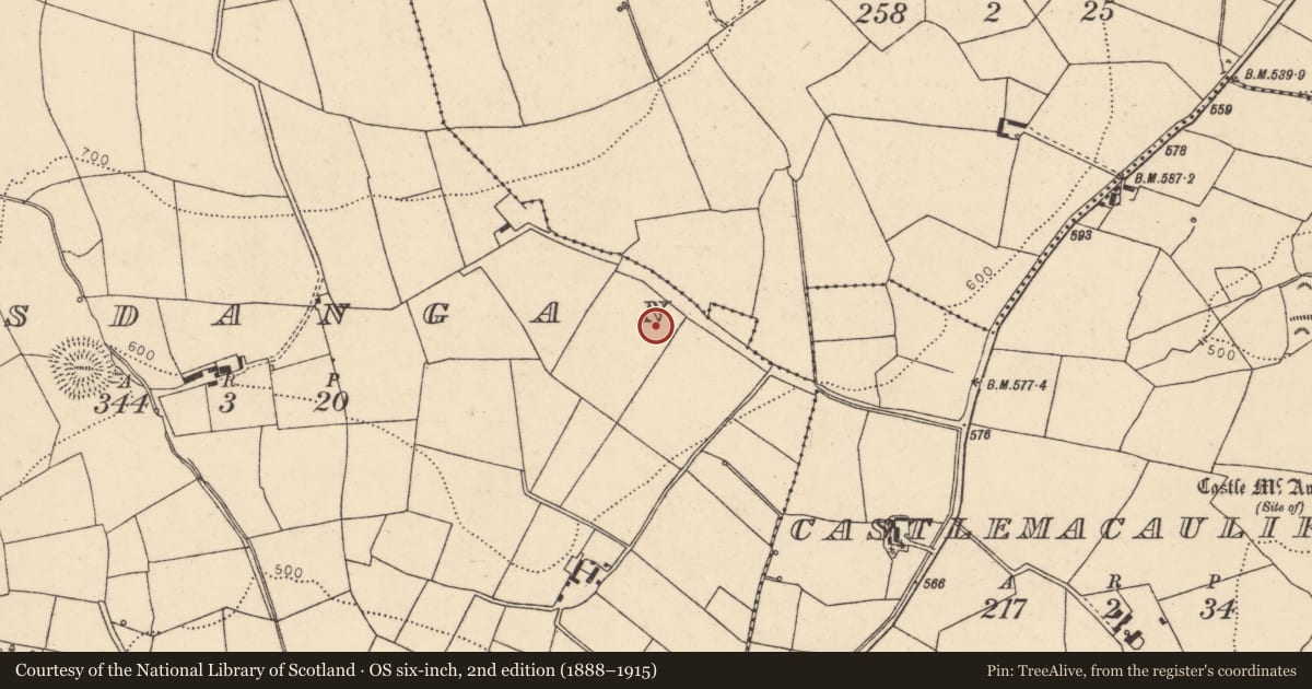 Ordnance Survey six-inch map, 2nd edition (1888–1915) covering the location of Church, Lisdangan, County Cork, with a pin at the register's coordinates