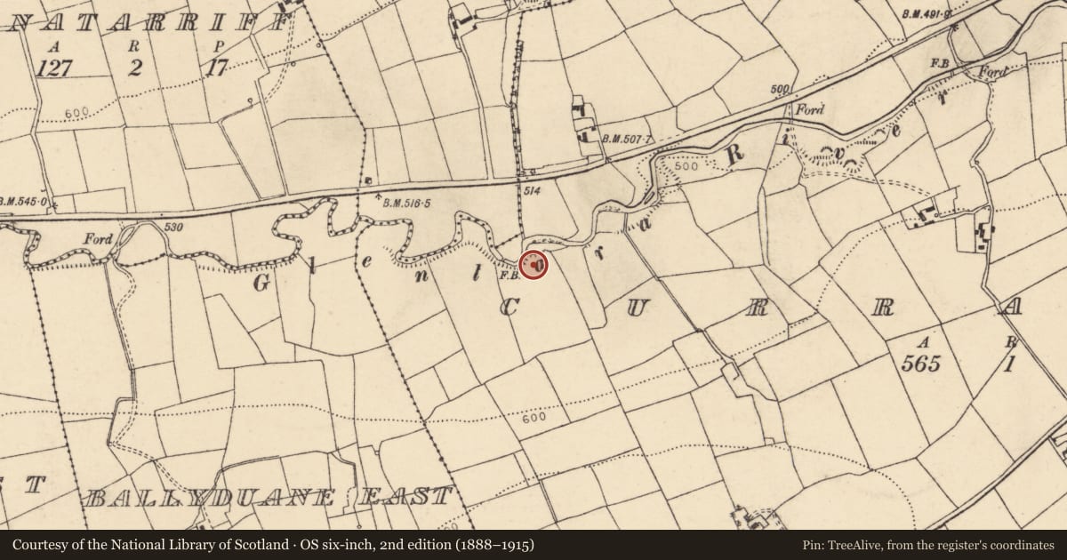 Ordnance Survey six-inch map, 2nd edition (1888–1915) covering the location of Kiln - lime, Curraduff, County Cork, with a pin at the register's coordinates