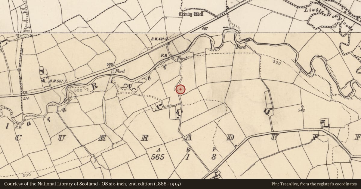 Ordnance Survey six-inch map, 2nd edition (1888–1915) covering the location of Fulacht fia, Curraduff, County Cork, with a pin at the register's coordinates