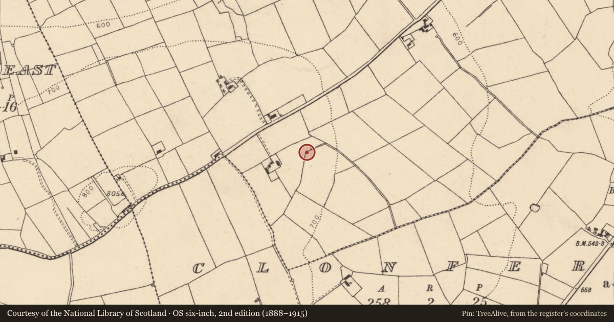 Ordnance Survey six-inch map, 2nd edition (1888–1915) covering the location of Fulacht fia, Curraduff, County Cork, with a pin at the register's coordinates