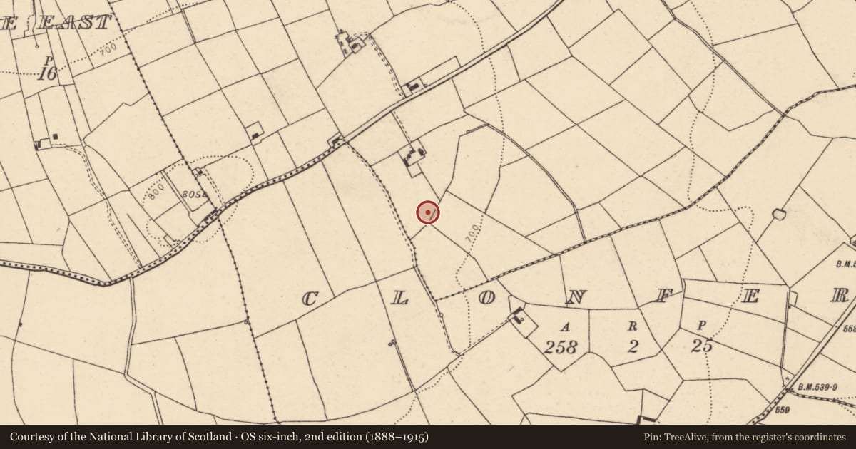 Ordnance Survey six-inch map, 2nd edition (1888–1915) covering the location of Fulacht fia, Curraduff, County Cork, with a pin at the register's coordinates