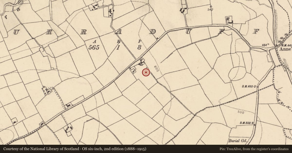 Ordnance Survey six-inch map, 2nd edition (1888–1915) covering the location of Fulacht fia, Curraduff, County Cork, with a pin at the register's coordinates
