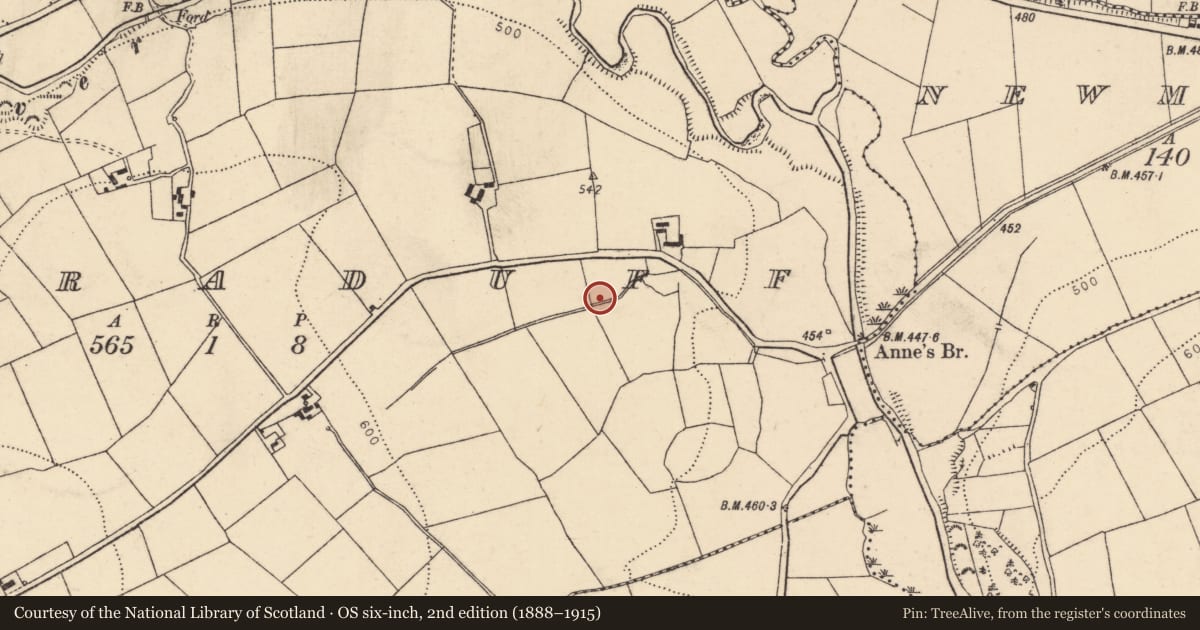 Ordnance Survey six-inch map, 2nd edition (1888–1915) covering the location of Fulacht fia, Curraduff, County Cork, with a pin at the register's coordinates