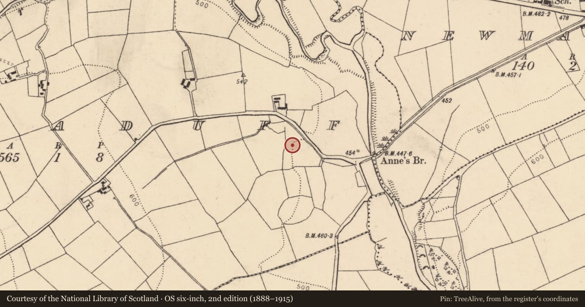 Ordnance Survey six-inch map, 2nd edition (1888–1915) covering the location of Fulacht fia, Curraduff, County Cork, with a pin at the register's coordinates