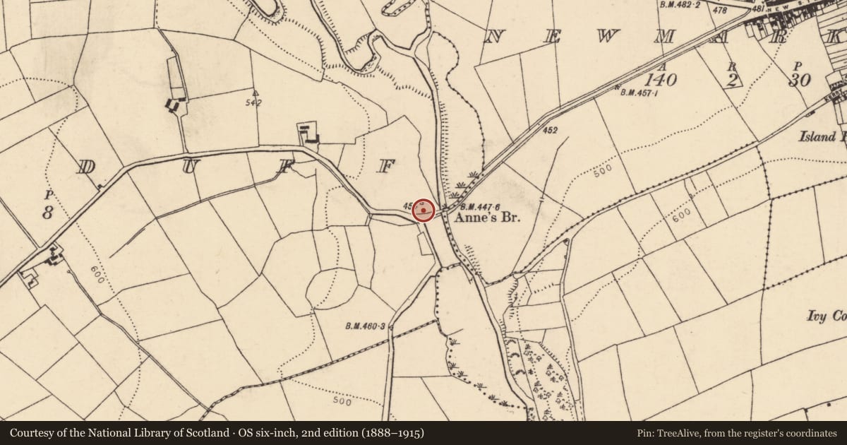 Ordnance Survey six-inch map, 2nd edition (1888–1915) covering the location of Kiln - lime, Curraduff, County Cork, with a pin at the register's coordinates