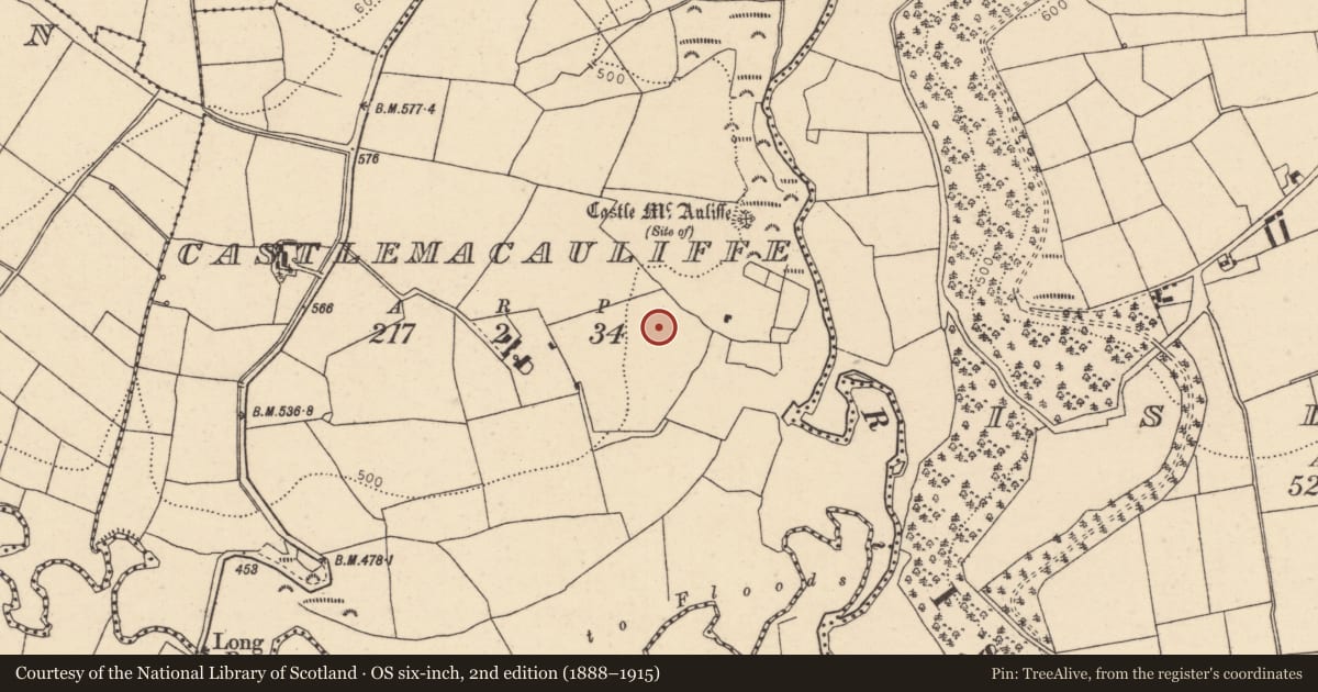 Ordnance Survey six-inch map, 2nd edition (1888–1915) covering the location of Fulacht fia, Castlemacauliffe, County Cork, with a pin at the register's coordinates