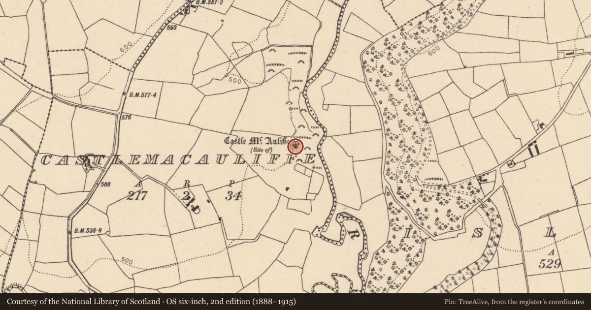 Ordnance Survey six-inch map, 2nd edition (1888–1915) covering the location of Castle - unclassified, Castlemacauliffe, County Cork, with a pin at the register's coordinates