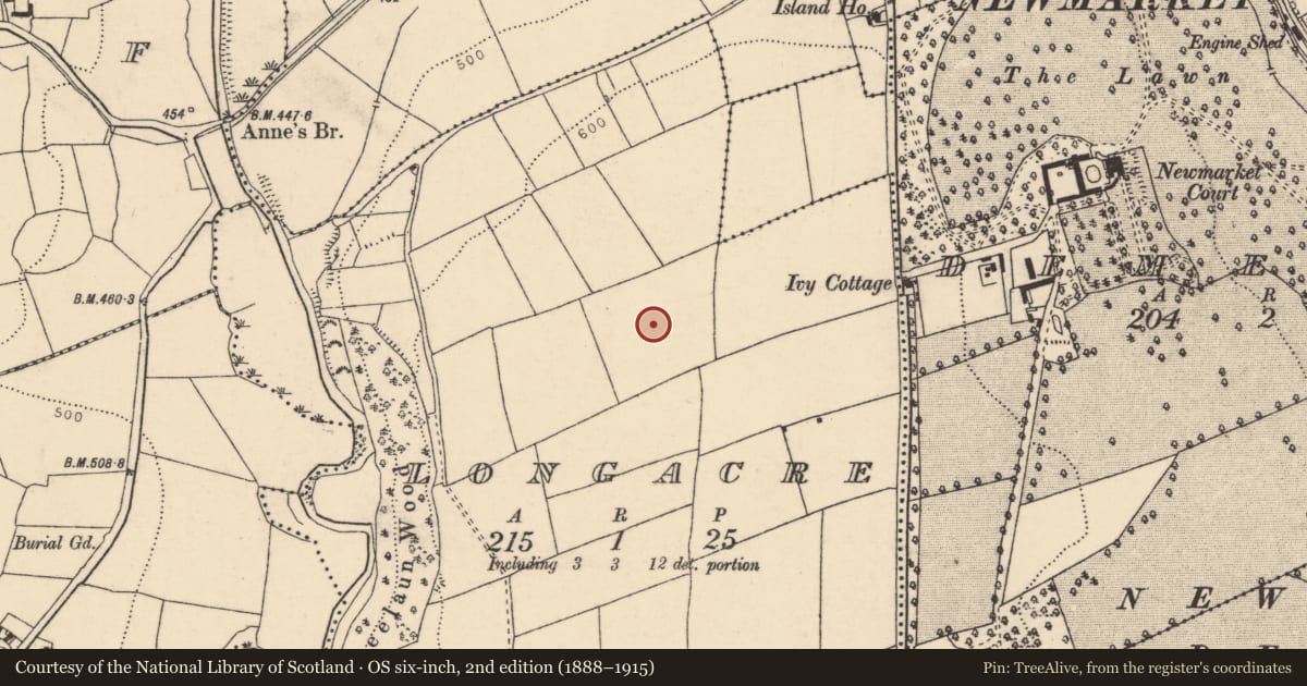 Ordnance Survey six-inch map, 2nd edition (1888–1915) covering the location of Enclosure, Longacre, County Cork, with a pin at the register's coordinates