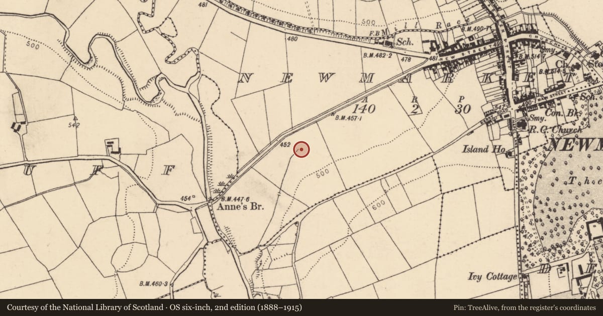 Ordnance Survey six-inch map, 2nd edition (1888–1915) covering the location of Fulacht fia, Newmarket, County Cork, with a pin at the register's coordinates