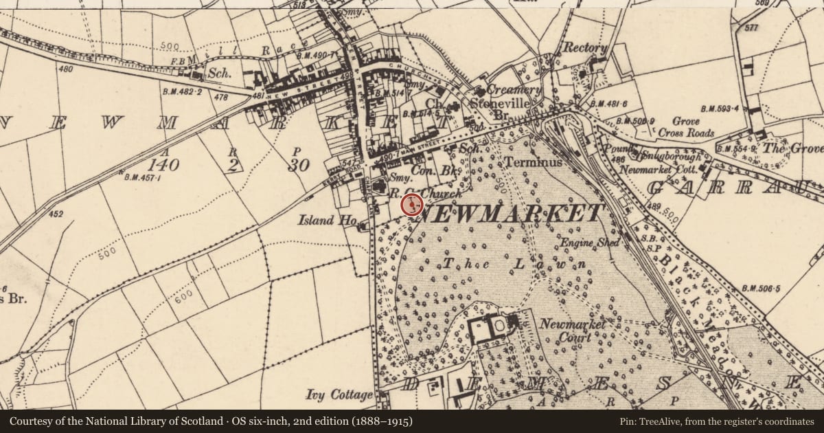 Ordnance Survey six-inch map, 2nd edition (1888–1915) covering the location of Castle - unclassified, Demesne, County Cork, with a pin at the register's coordinates