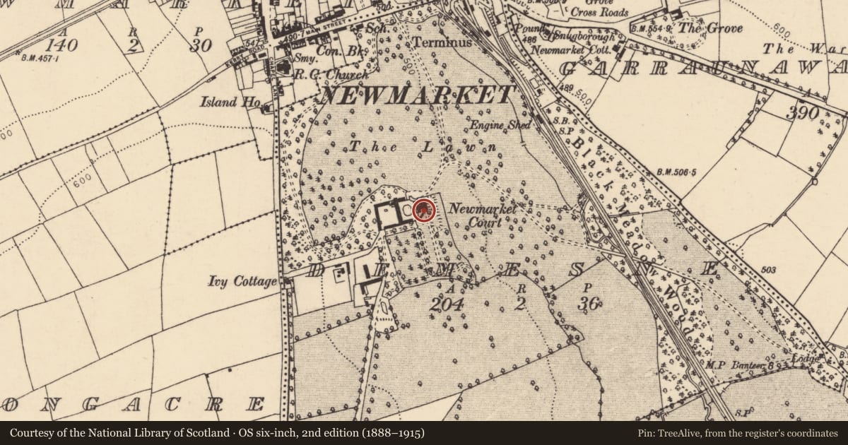 Ordnance Survey six-inch map, 2nd edition (1888–1915) covering the location of Country house, Demesne, County Cork, with a pin at the register's coordinates
