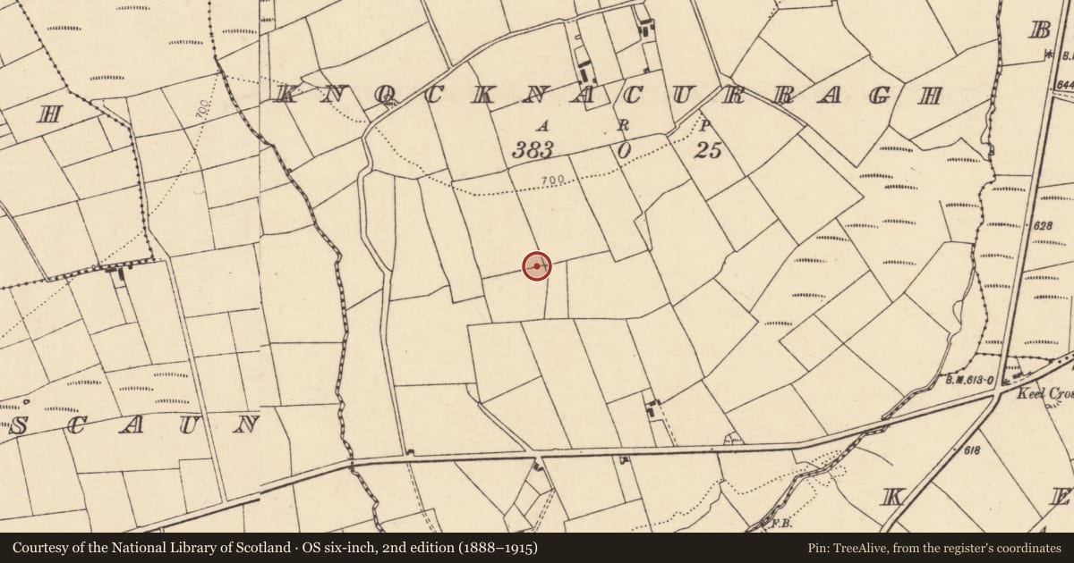 Ordnance Survey six-inch map, 2nd edition (1888–1915) covering the location of Fulacht fia, Knocknacurragh, County Cork, with a pin at the register's coordinates