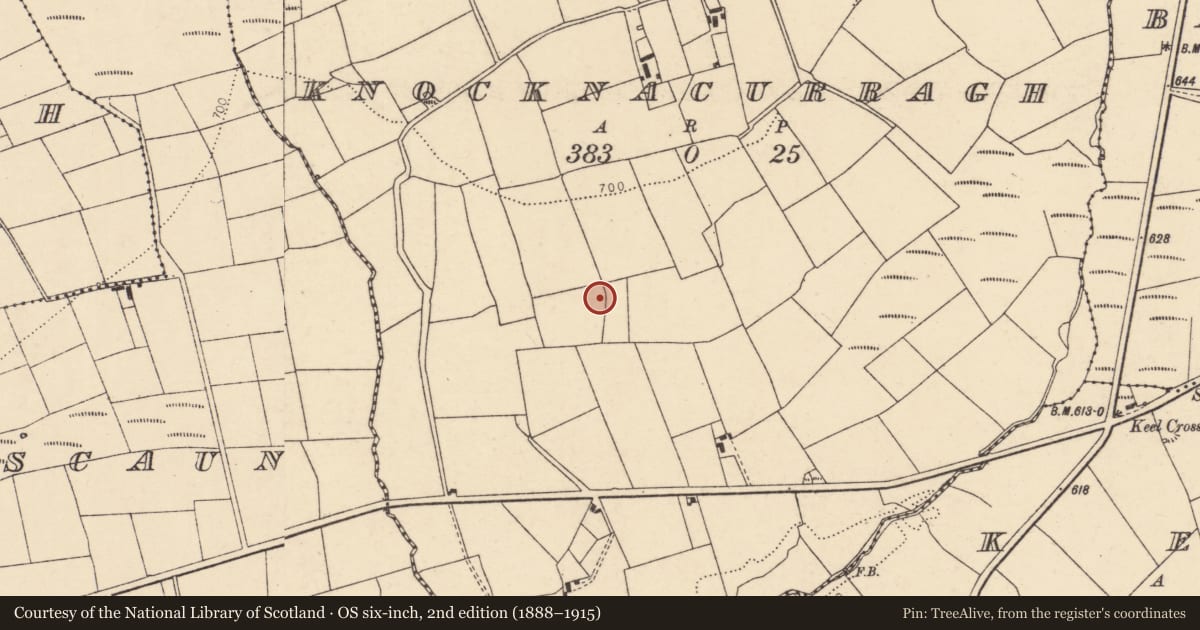 Ordnance Survey six-inch map, 2nd edition (1888–1915) covering the location of Fulacht fia, Knocknacurragh, County Cork, with a pin at the register's coordinates