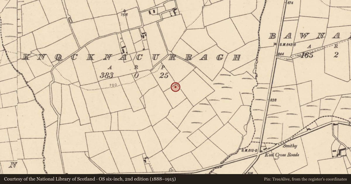 Ordnance Survey six-inch map, 2nd edition (1888–1915) covering the location of Standing stone, Knocknacurragh, County Cork, with a pin at the register's coordinates