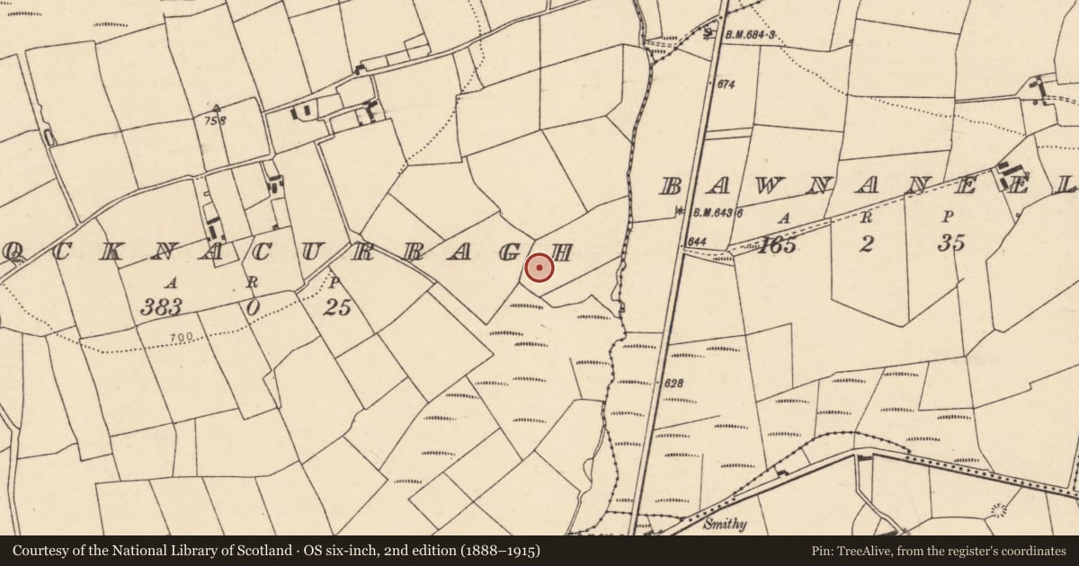 Ordnance Survey six-inch map, 2nd edition (1888–1915) covering the location of Enclosure, Knocknacurragh, County Cork, with a pin at the register's coordinates