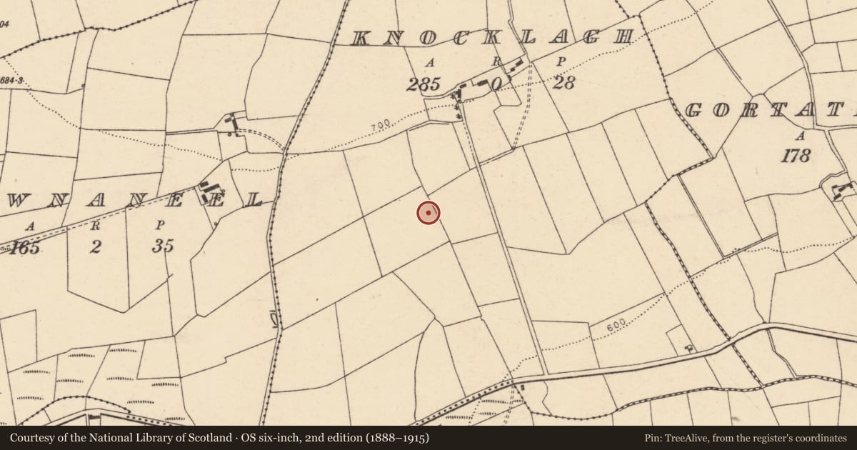 Ordnance Survey six-inch map, 2nd edition (1888–1915) covering the location of Fulacht fia, Knocklagh, County Cork, with a pin at the register's coordinates