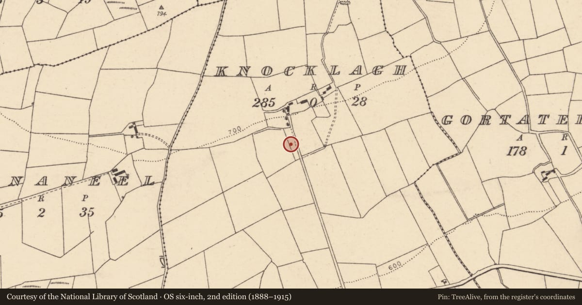 Ordnance Survey six-inch map, 2nd edition (1888–1915) covering the location of Fulacht fia, Knocklagh, County Cork, with a pin at the register's coordinates