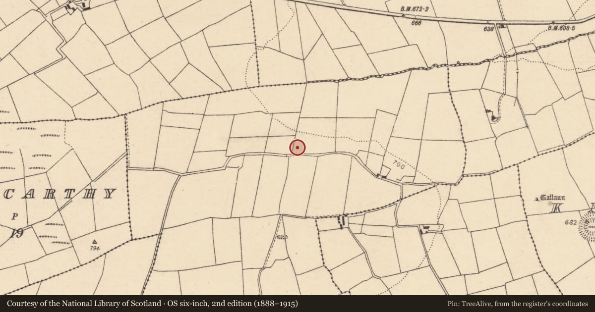 Ordnance Survey six-inch map, 2nd edition (1888–1915) covering the location of Fulacht fia, Knocklagh, County Cork, with a pin at the register's coordinates