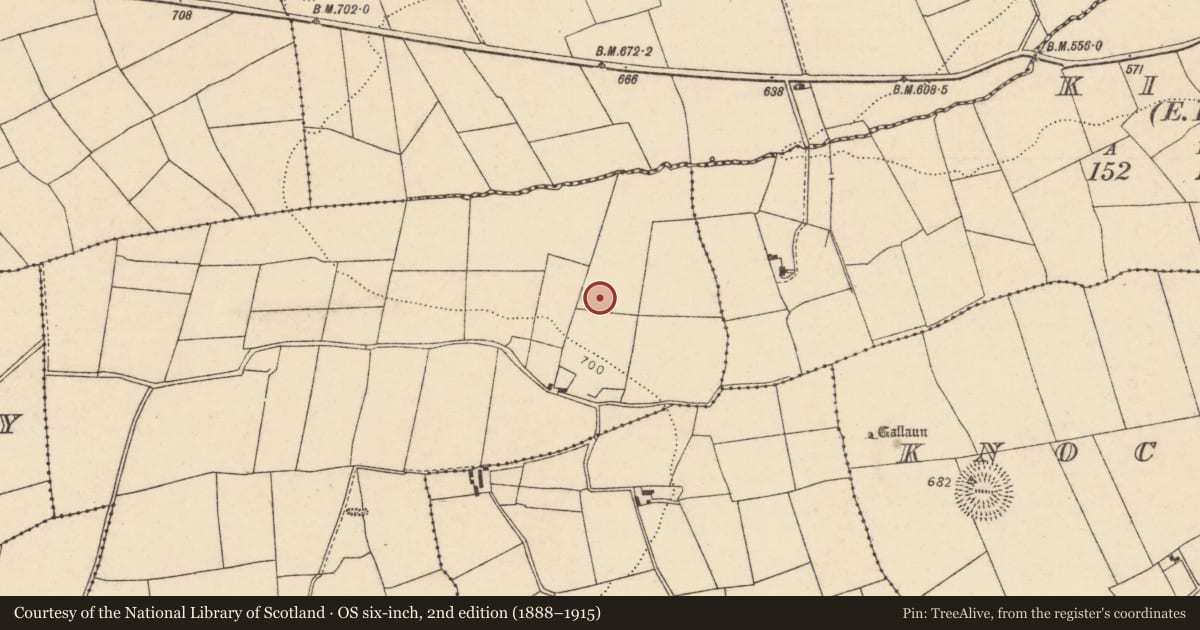 Ordnance Survey six-inch map, 2nd edition (1888–1915) covering the location of Fulacht fia, Knocklagh, County Cork, with a pin at the register's coordinates