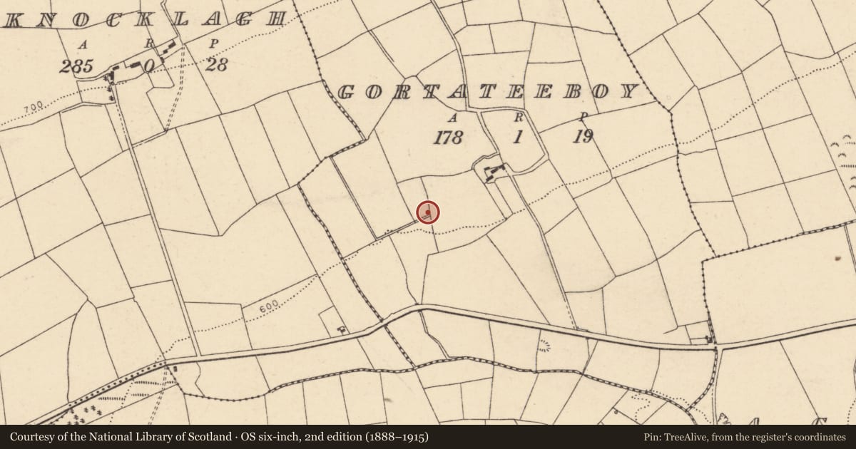 Ordnance Survey six-inch map, 2nd edition (1888–1915) covering the location of Fulacht fia, Gortateeboy, County Cork, with a pin at the register's coordinates