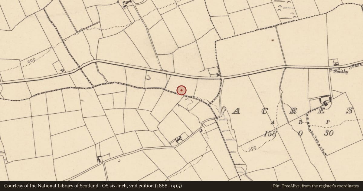 Ordnance Survey six-inch map, 2nd edition (1888–1915) covering the location of Mound, Gortateeboy, County Cork, with a pin at the register's coordinates