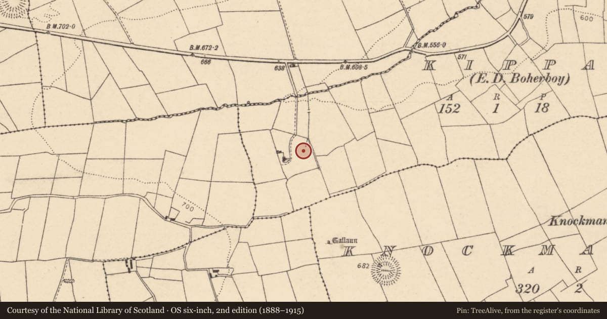 Ordnance Survey six-inch map, 2nd edition (1888–1915) covering the location of Fulacht fia, Kippagh (Duhallow By., Kilmeen Par.), County Cork, with a pin at the register's coordinates