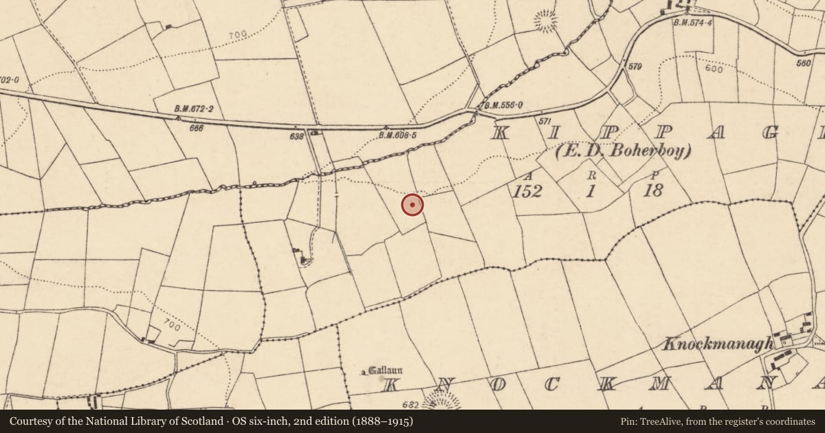 Ordnance Survey six-inch map, 2nd edition (1888–1915) covering the location of Fulacht fia, Kippagh (Duhallow By., Kilmeen Par.), County Cork, with a pin at the register's coordinates