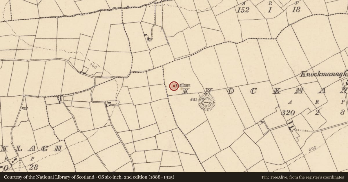 Ordnance Survey six-inch map, 2nd edition (1888–1915) covering the location of Standing stone, Knockmanagh, County Cork, with a pin at the register's coordinates