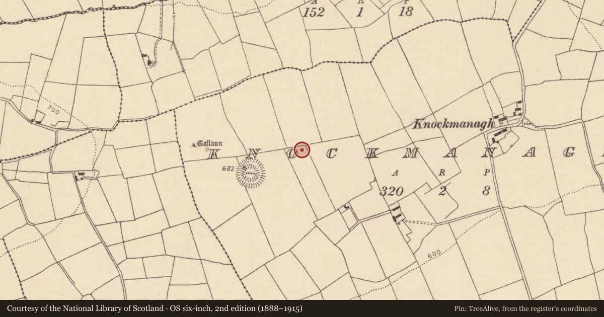 Ordnance Survey six-inch map, 2nd edition (1888–1915) covering the location of Standing stone, Knockmanagh, County Cork, with a pin at the register's coordinates
