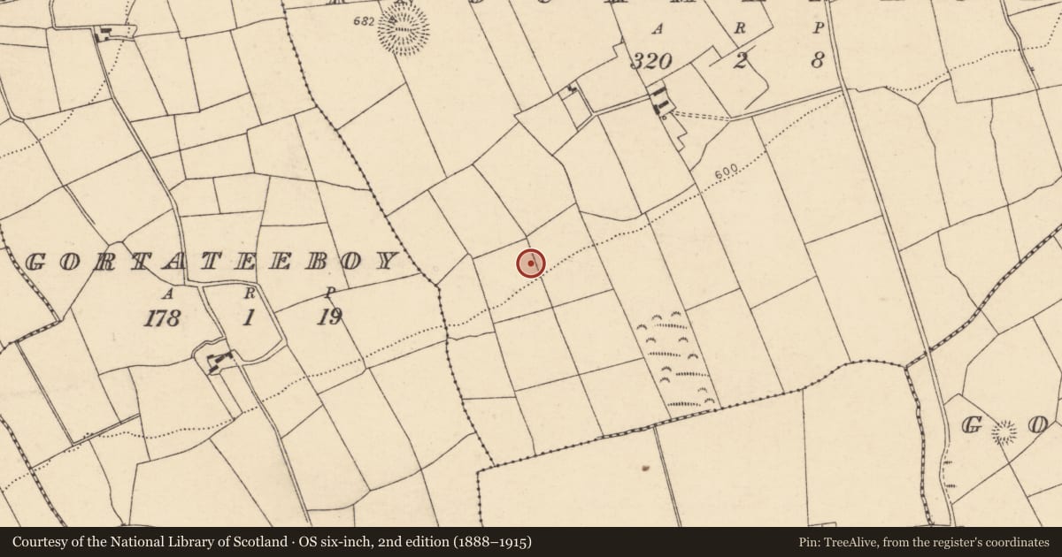 Ordnance Survey six-inch map, 2nd edition (1888–1915) covering the location of Fulacht fia, Knockmanagh, County Cork, with a pin at the register's coordinates