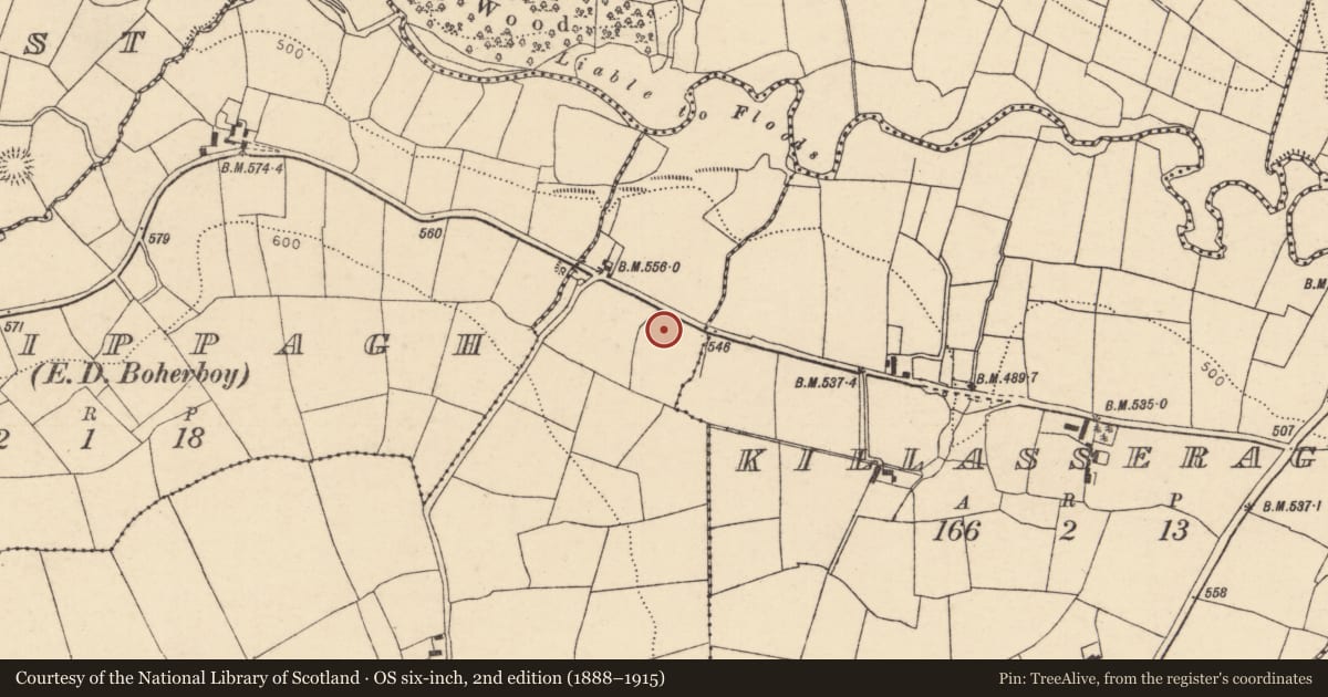 Ordnance Survey six-inch map, 2nd edition (1888–1915) covering the location of Church, Knockmanagh, County Cork, with a pin at the register's coordinates