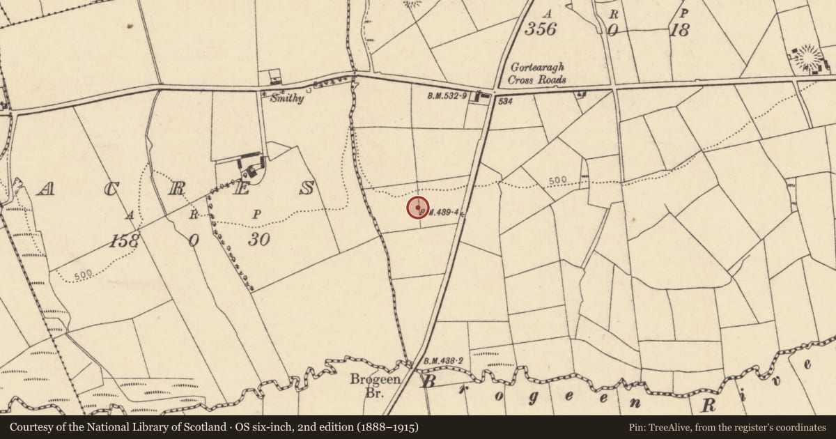 Ordnance Survey six-inch map, 2nd edition (1888–1915) covering the location of Ringfort - rath, Gortearagh, County Cork, with a pin at the register's coordinates