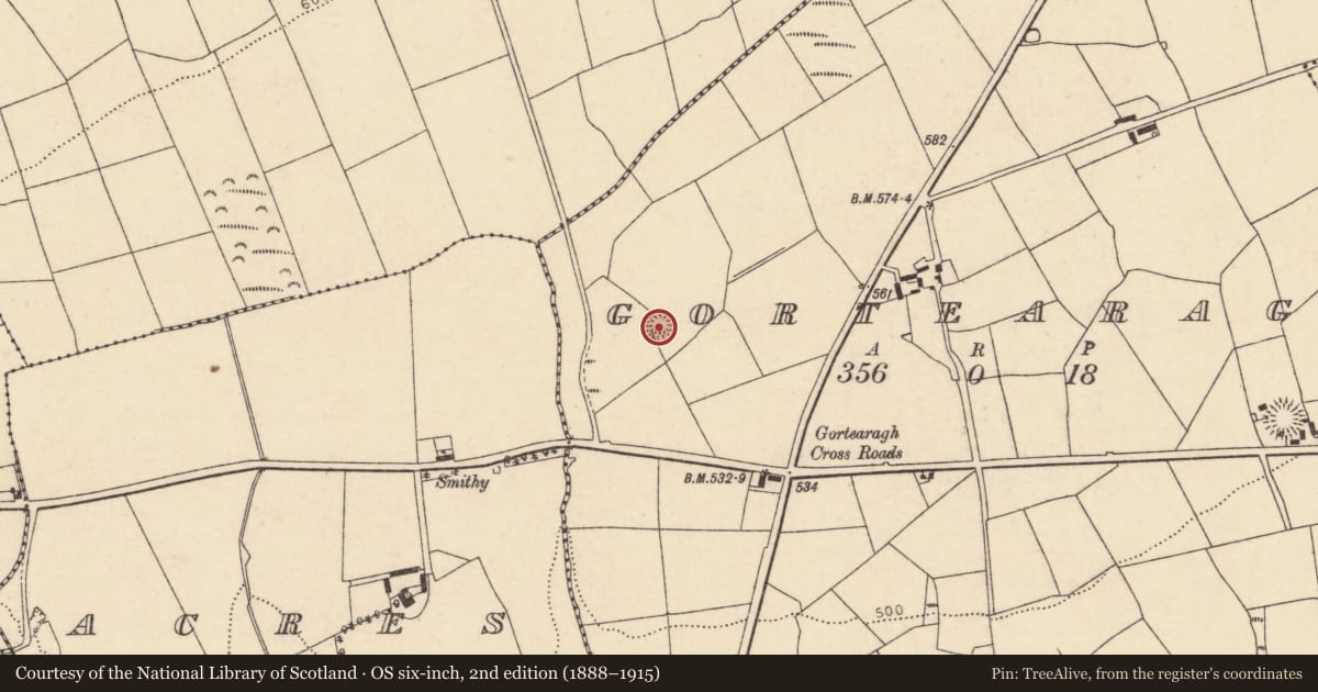 Ordnance Survey six-inch map, 2nd edition (1888–1915) covering the location of Ringfort - rath, Gortearagh, County Cork, with a pin at the register's coordinates