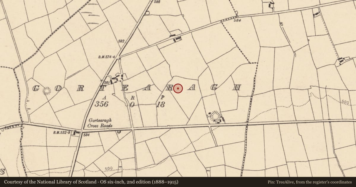 Ordnance Survey six-inch map, 2nd edition (1888–1915) covering the location of Fulacht fia, Gortearagh, County Cork, with a pin at the register's coordinates