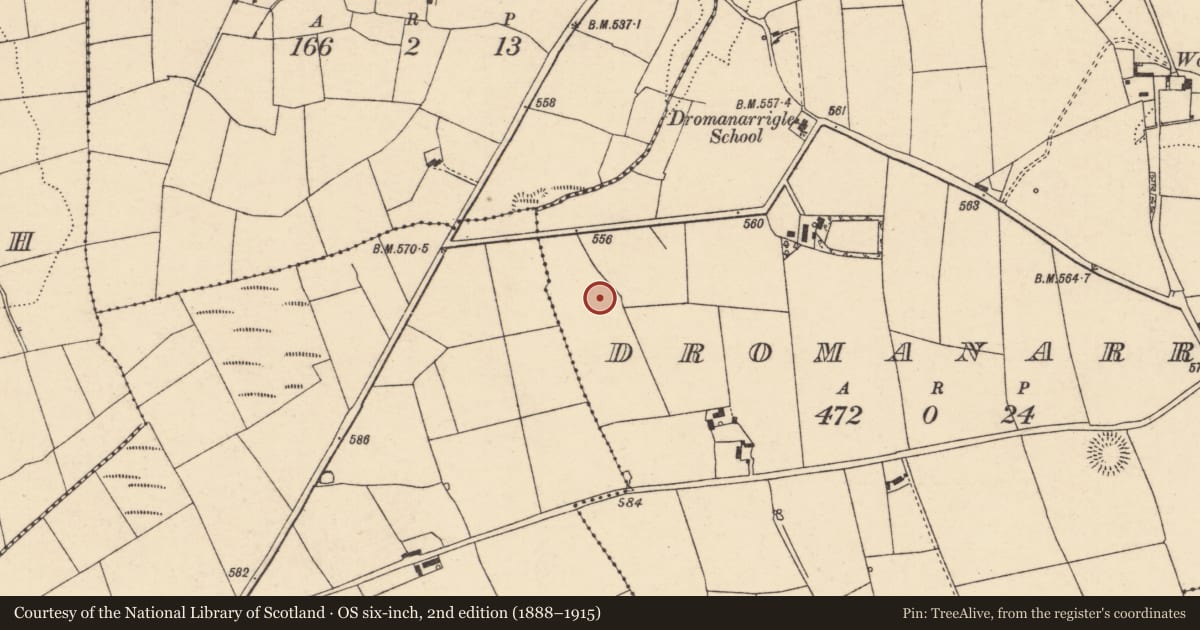 Ordnance Survey six-inch map, 2nd edition (1888–1915) covering the location of Ringfort - rath, Dromanarrigle, County Cork, with a pin at the register's coordinates