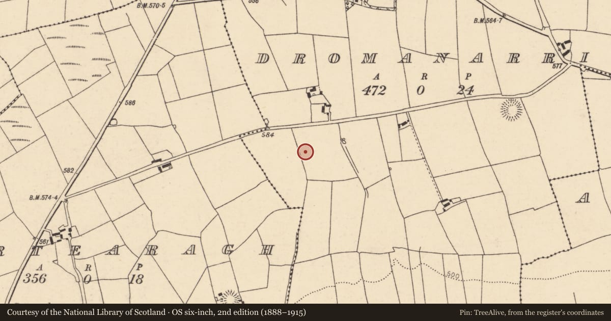 Ordnance Survey six-inch map, 2nd edition (1888–1915) covering the location of Ringfort - rath, Dromanarrigle, County Cork, with a pin at the register's coordinates