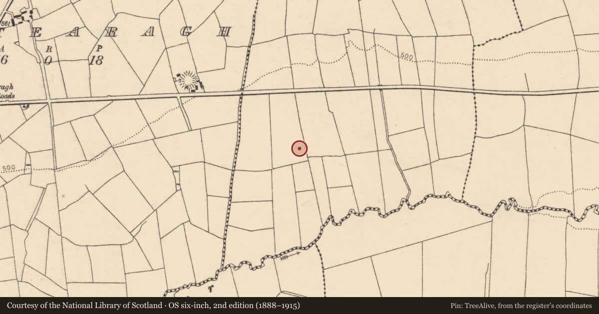 Ordnance Survey six-inch map, 2nd edition (1888–1915) covering the location of Ringfort - rath, Dromanarrigle, County Cork, with a pin at the register's coordinates